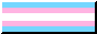 Transgender flag